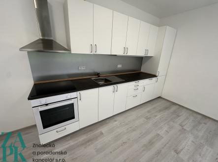 Pronájem bytu, 1+kk, 55 m²