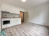 Pronájem bytu, 1+1, 38 m²