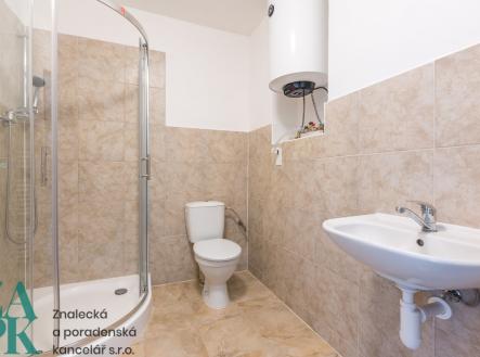 Pronájem bytu, 2+kk, 47 m²