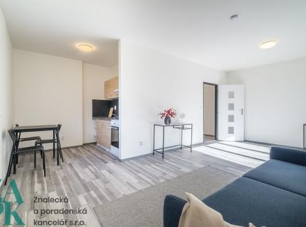 Pronájem bytu, 1+kk, 34 m²