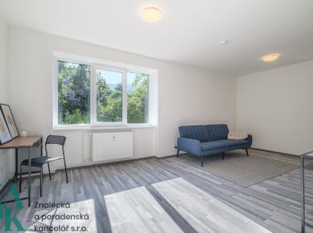 Pronájem bytu, 1+kk, 34 m²