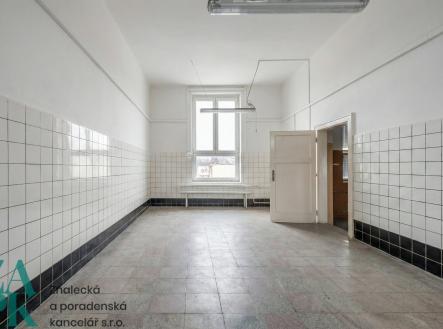 Pronájem kanceláře, 173 m²