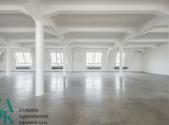 Pronájem kanceláře, 303 m²