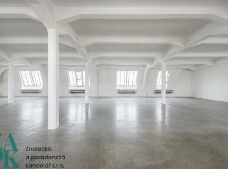 Pronájem kanceláře, 303 m²