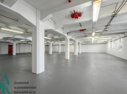 Nemovitost