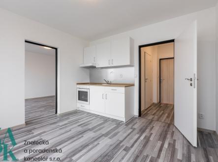 Pronájem bytu, 1+1, 37 m²