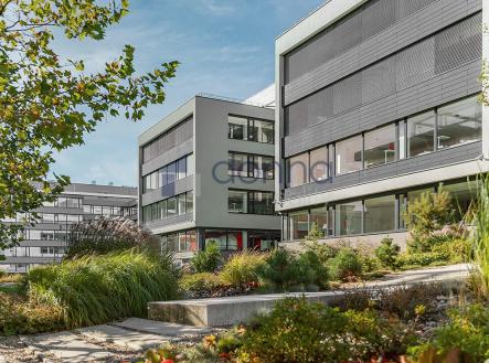 Pronájem obchodní prostor, 684 m²