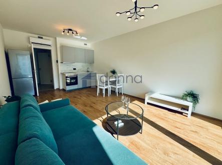 Pronájem bytu, 1+kk, 39 m²