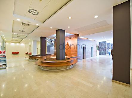 Pronájem kanceláře, 570 m²