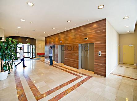 Pronájem kanceláře, 570 m²