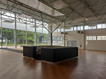 Pronájem obchodní prostor, 1 462 m²