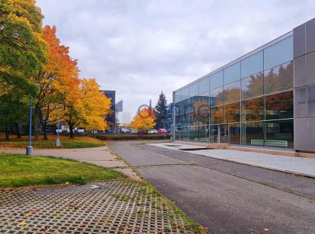 Pronájem obchodní prostor, 2 799 m²