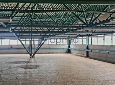 Pronájem obchodní prostor, 1 137 m²