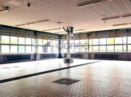 Pronájem obchodní prostor, 1 137 m²