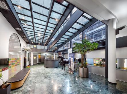 Pronájem obchodní prostor, 300 m²