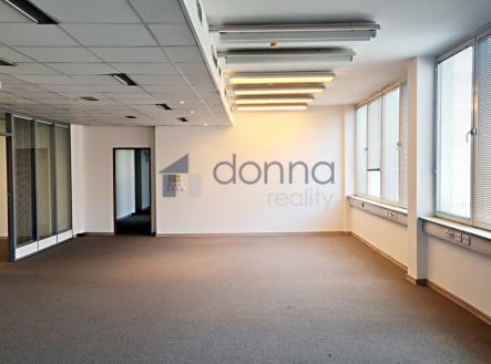 Pronájem obchodní prostor, 300 m²