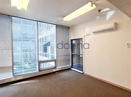 Pronájem obchodní prostor, 300 m²