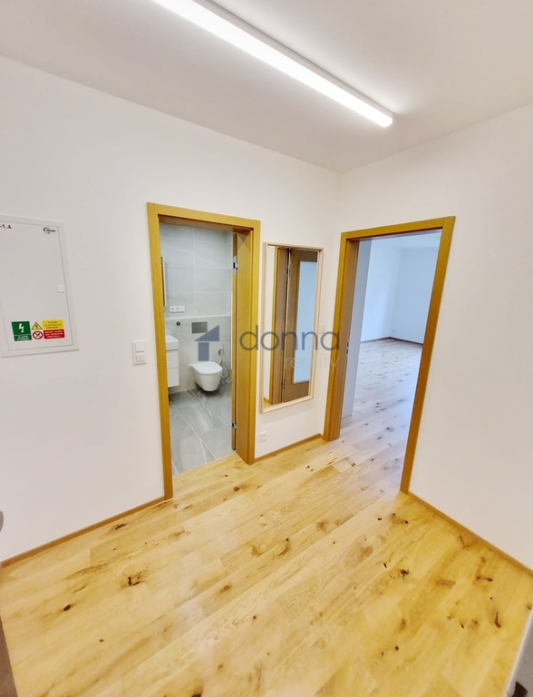 Fotku se nepodařilo načíst.