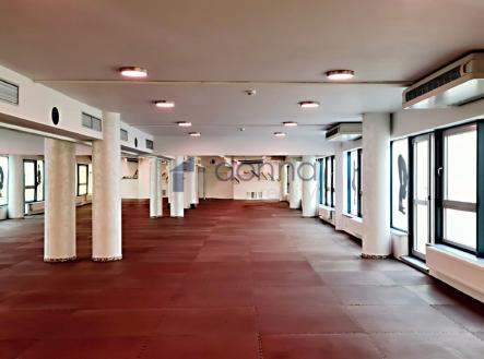 Pronájem obchodní prostor, 360 m²
