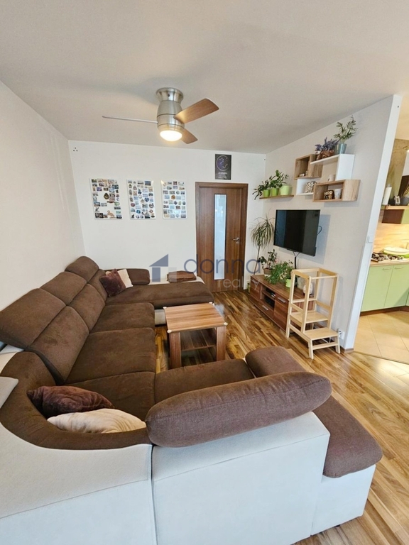 Fotku se nepodařilo načíst.