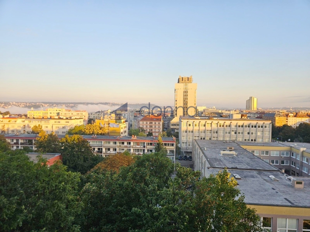 Fotku se nepodařilo načíst.