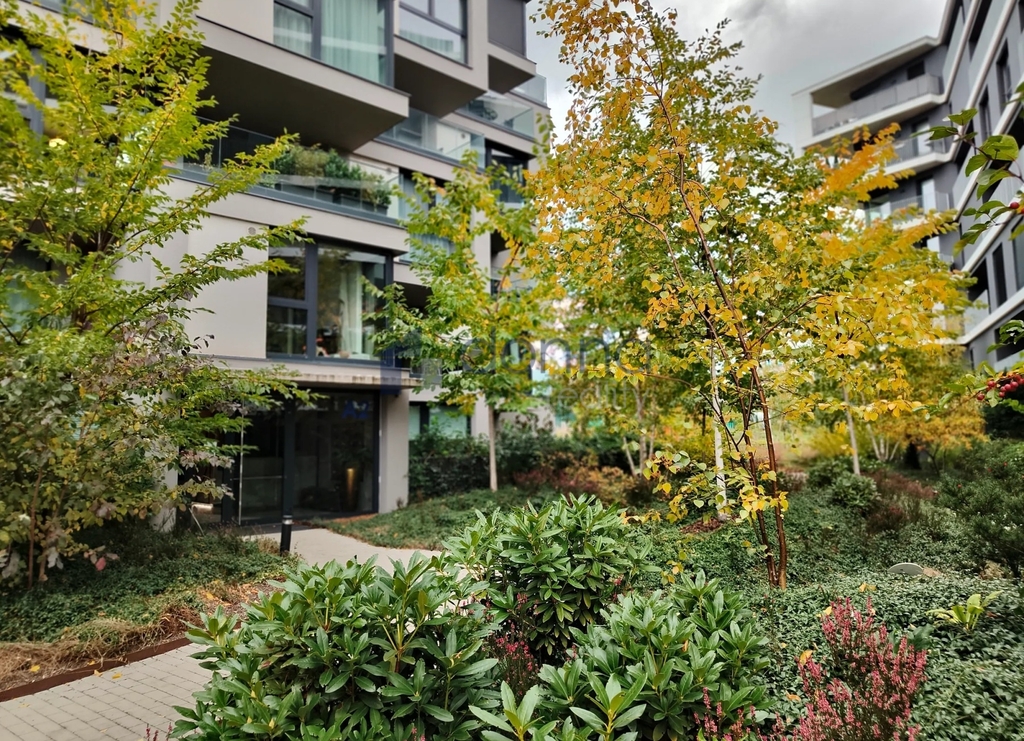 Fotku se nepodařilo načíst.