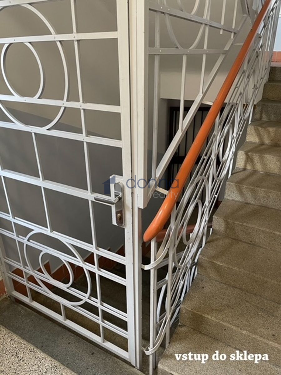 Fotku se nepodařilo načíst.