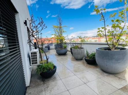 Pronájem bytu, 2+kk, 100 m²