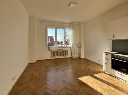 Pronájem bytu, 2+kk, 47 m²