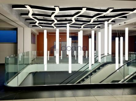 Pronájem obchodní prostor, 600 m²
