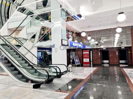 Pronájem obchodní prostor, 600 m²