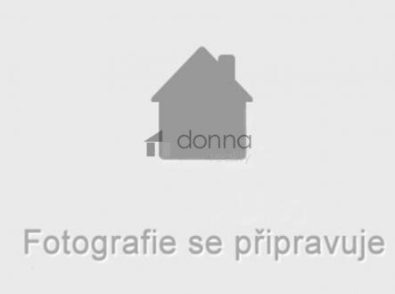 Pronájem bytu, 1+kk, 41 m²