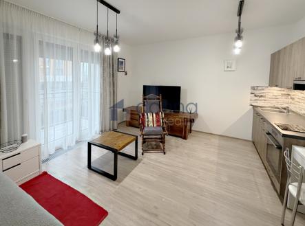 Pronájem bytu, 1+kk, 41 m²