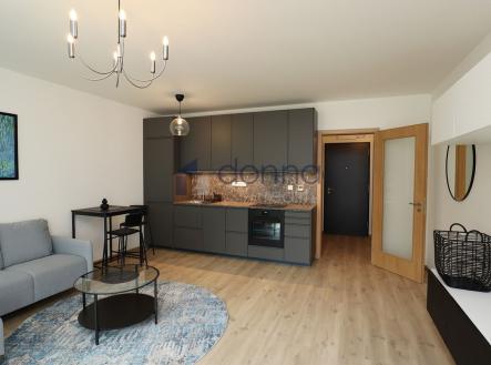 Pronájem bytu, 1+kk, 38 m²