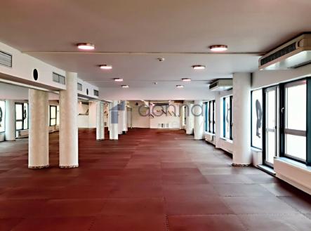Pronájem obchodní prostory, 360 m²