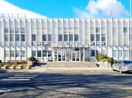 Pronájem obchodní prostor, 233 m²