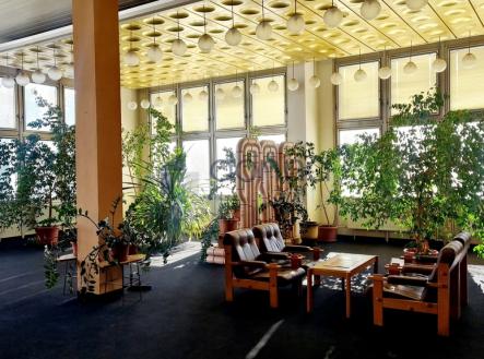 Pronájem obchodní prostor, 233 m²