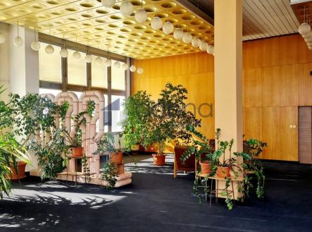 Pronájem obchodní prostor, 233 m²