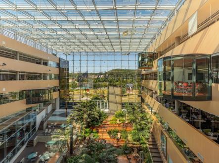 Pronájem kanceláře, 1 365 m²