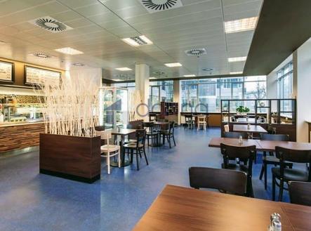 Pronájem kanceláře, 326 m²