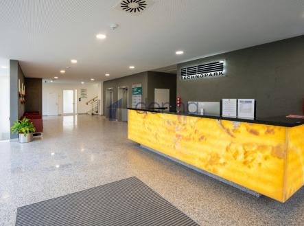 Pronájem kanceláře, 326 m²