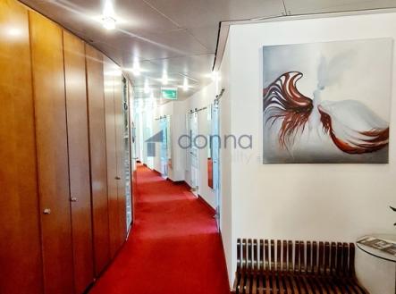 Pronájem kanceláře, 50 m²