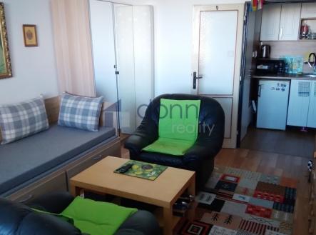 Pronájem bytu, 1+kk, 25 m²