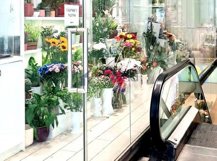 Pronájem obchodní prostor, 25 m²