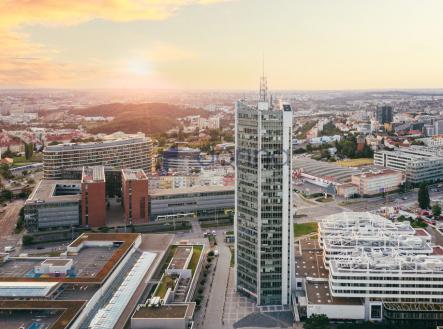 Pronájem kanceláře, 222 m²