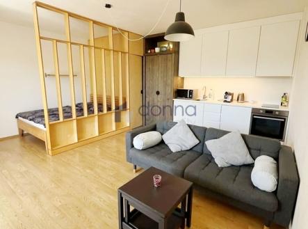 Pronájem bytu, 1+kk, 45 m²