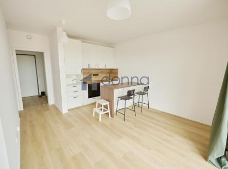 Pronájem bytu, 1+kk, 44 m²