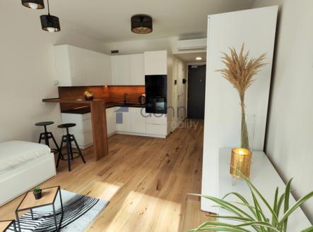 Pronájem bytu, 1+kk, 28 m²