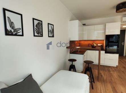 Pronájem bytu, 1+kk, 28 m²