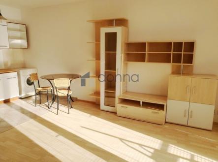 Pronájem bytu, 1+kk, 42 m²